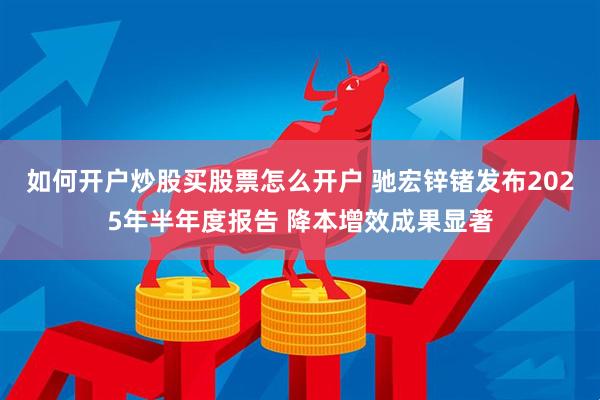 如何开户炒股买股票怎么开户 驰宏锌锗发布2025年半年度报告 降本增效成果显著