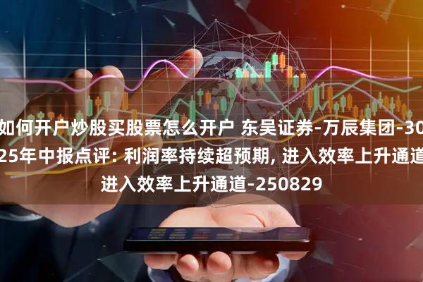 如何开户炒股买股票怎么开户 东吴证券-万辰集团-300972-2025年中报点评: 利润率持续超预期, 进入效率上升通道-250829