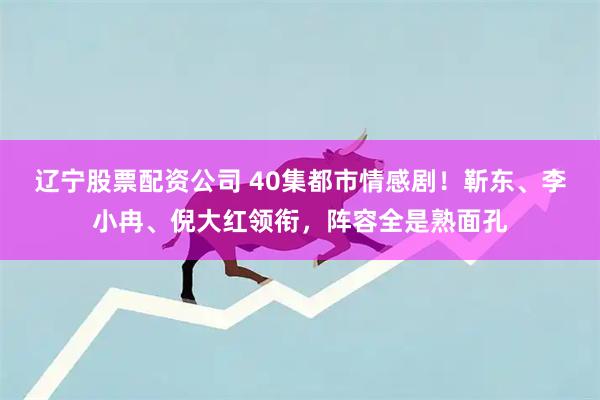 辽宁股票配资公司 40集都市情感剧！靳东、李小冉、倪大红领衔，阵容全是熟面孔