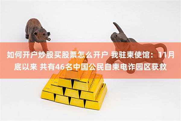 如何开户炒股买股票怎么开户 我驻柬使馆：11月底以来 共有46名中国公民自柬电诈园区获救