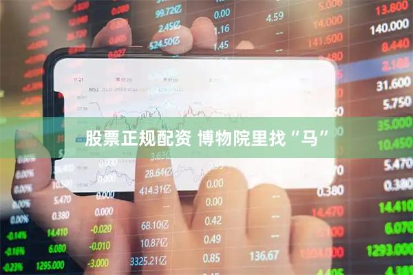 股票正规配资 博物院里找“马”