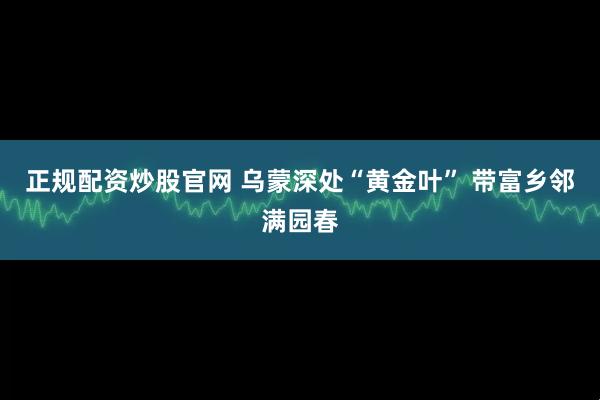 正规配资炒股官网 乌蒙深处“黄金叶” 带富乡邻满园春