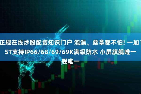 正规在线炒股配资知识门户 泡澡、桑拿都不怕! 一加15T支持IP66/68/69/69K满级防水 小屏旗舰唯一