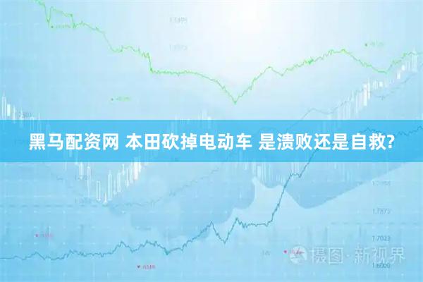 黑马配资网 本田砍掉电动车 是溃败还是自救?