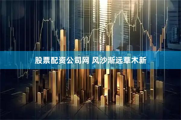 股票配资公司网 风沙渐远草木新